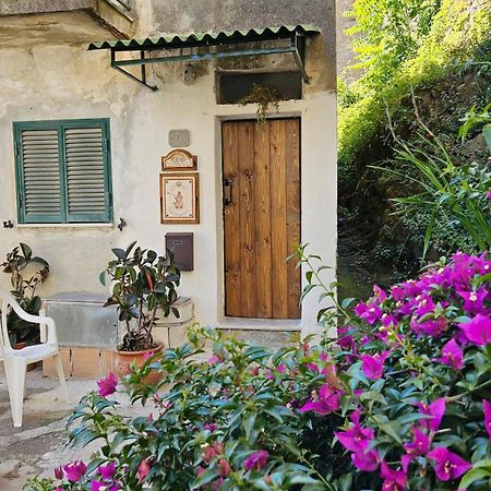 Appartamento Nel Borgo - Casa Del Pellegrino Sulla Via Francigena Аула Екстериор снимка